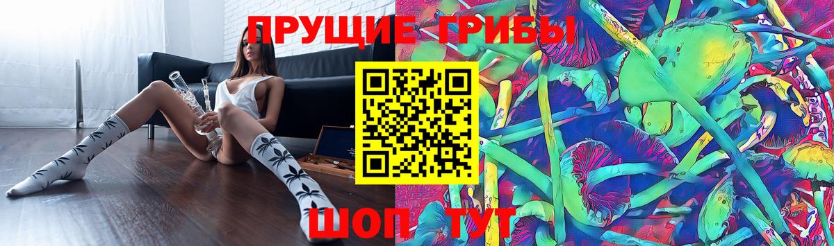 как найти наркотики  Псилоцибиновые грибы Magic Shrooms  Галлюциногенные грибы Magic Shrooms  Вход с VPN  Иваново 